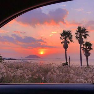 gogogo免费非洲完整
