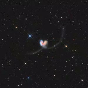 gogogo免费非洲完整
